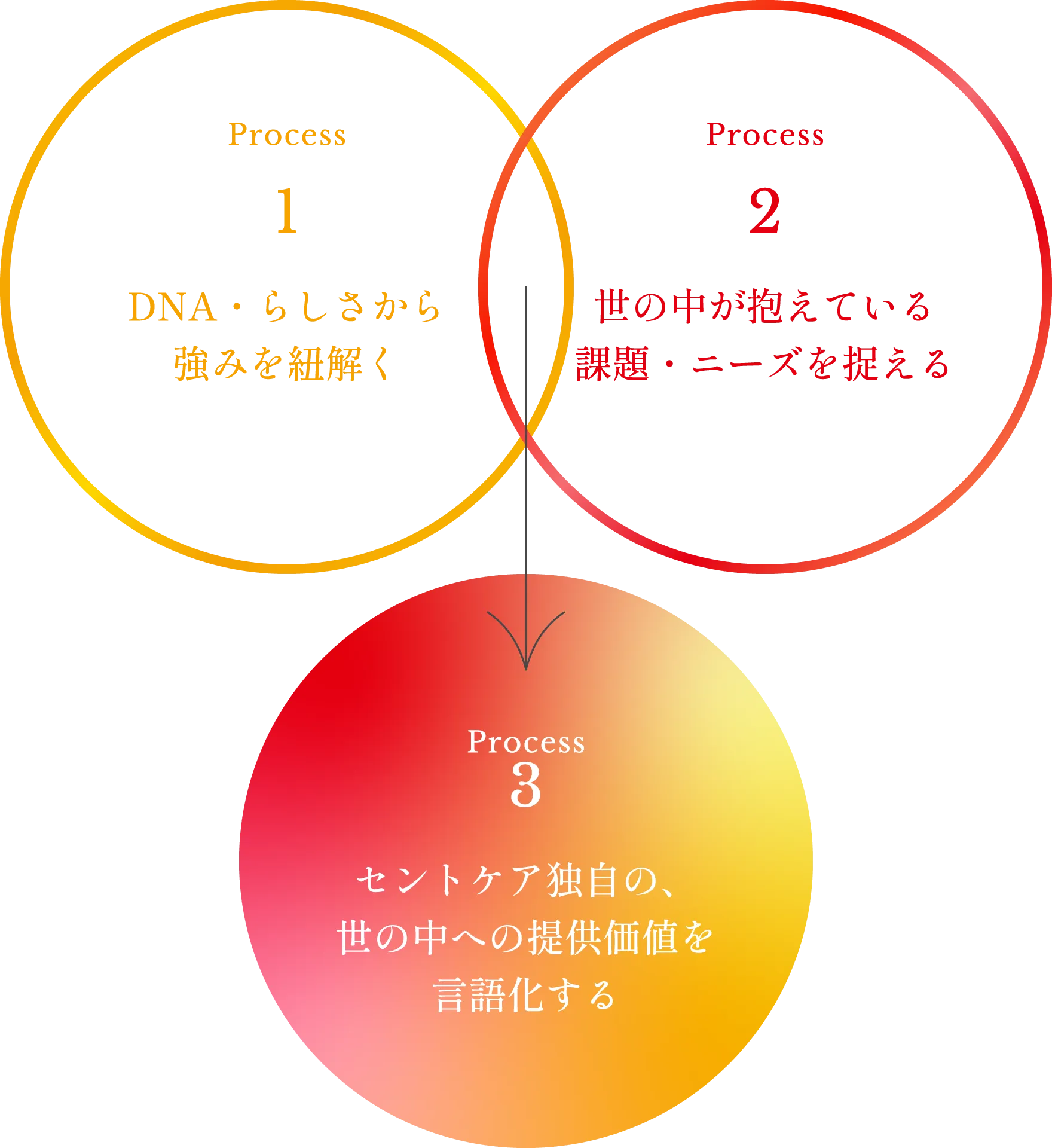 Process1 DNA・らしさから強みを紐解く Process2 世の中が抱えている課題・ニーズを捉える Process3 セントケア独自の、世の中への提供価値を言語化する