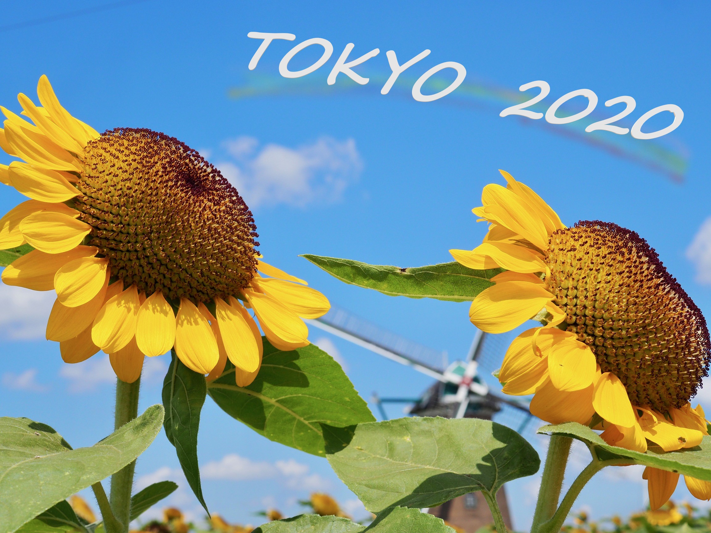 夏の思い出